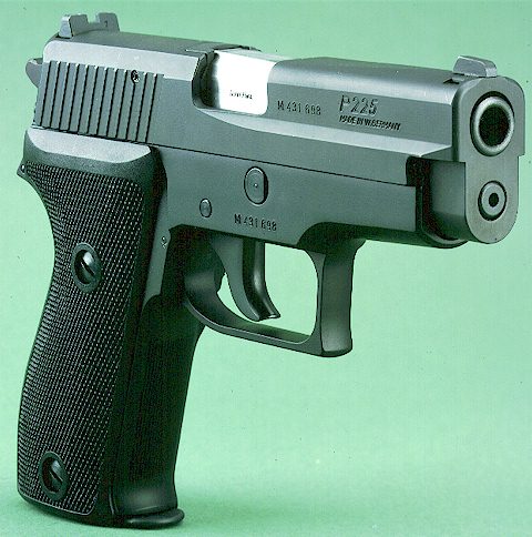 Sig225.jpg (53779 bytes)